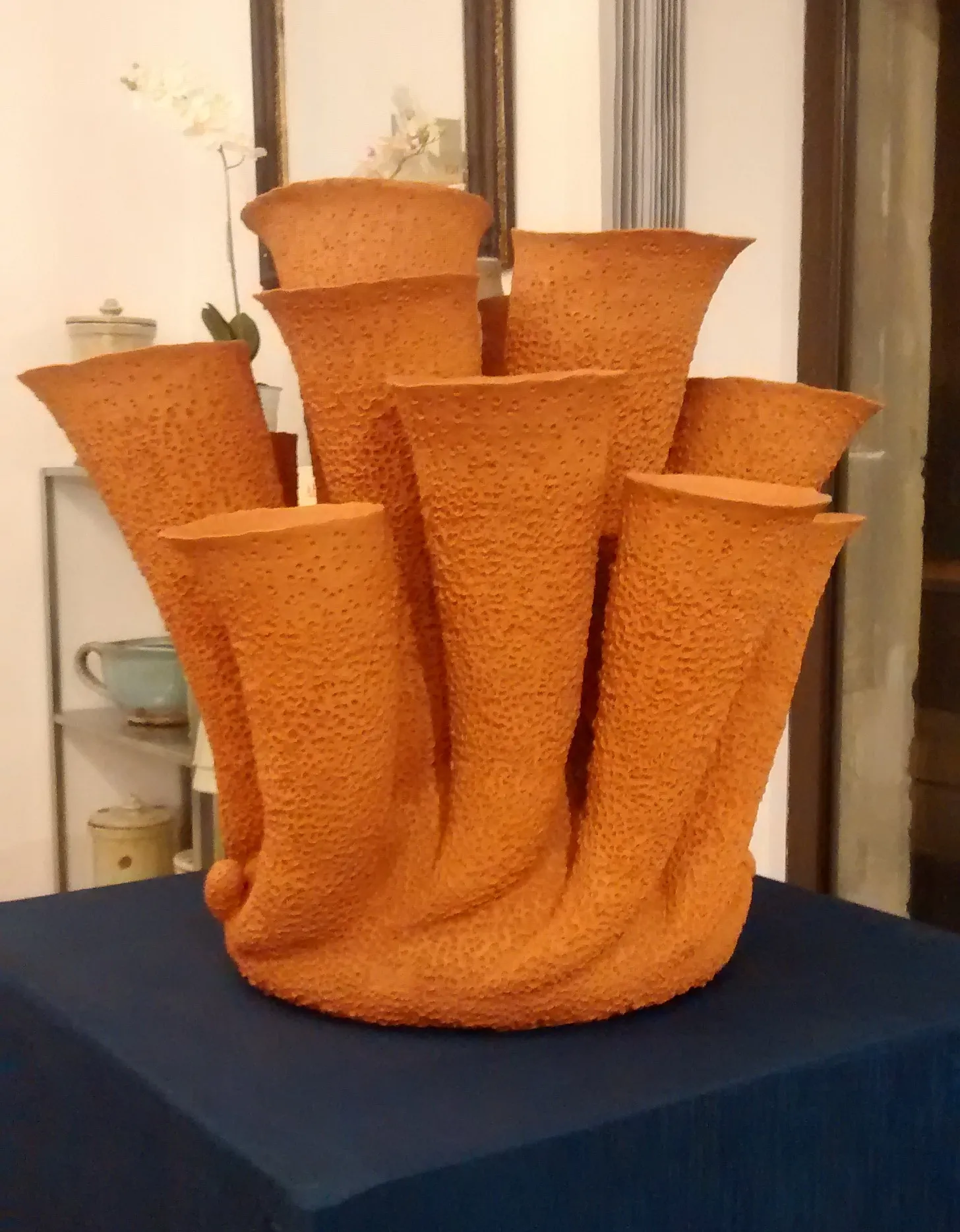 IMG_20151127_182407664