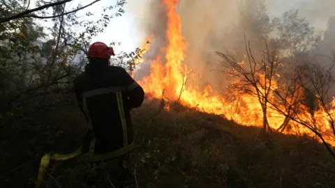 Vigilance rouge : restrictions sur la chasse et risque incendie maximal
