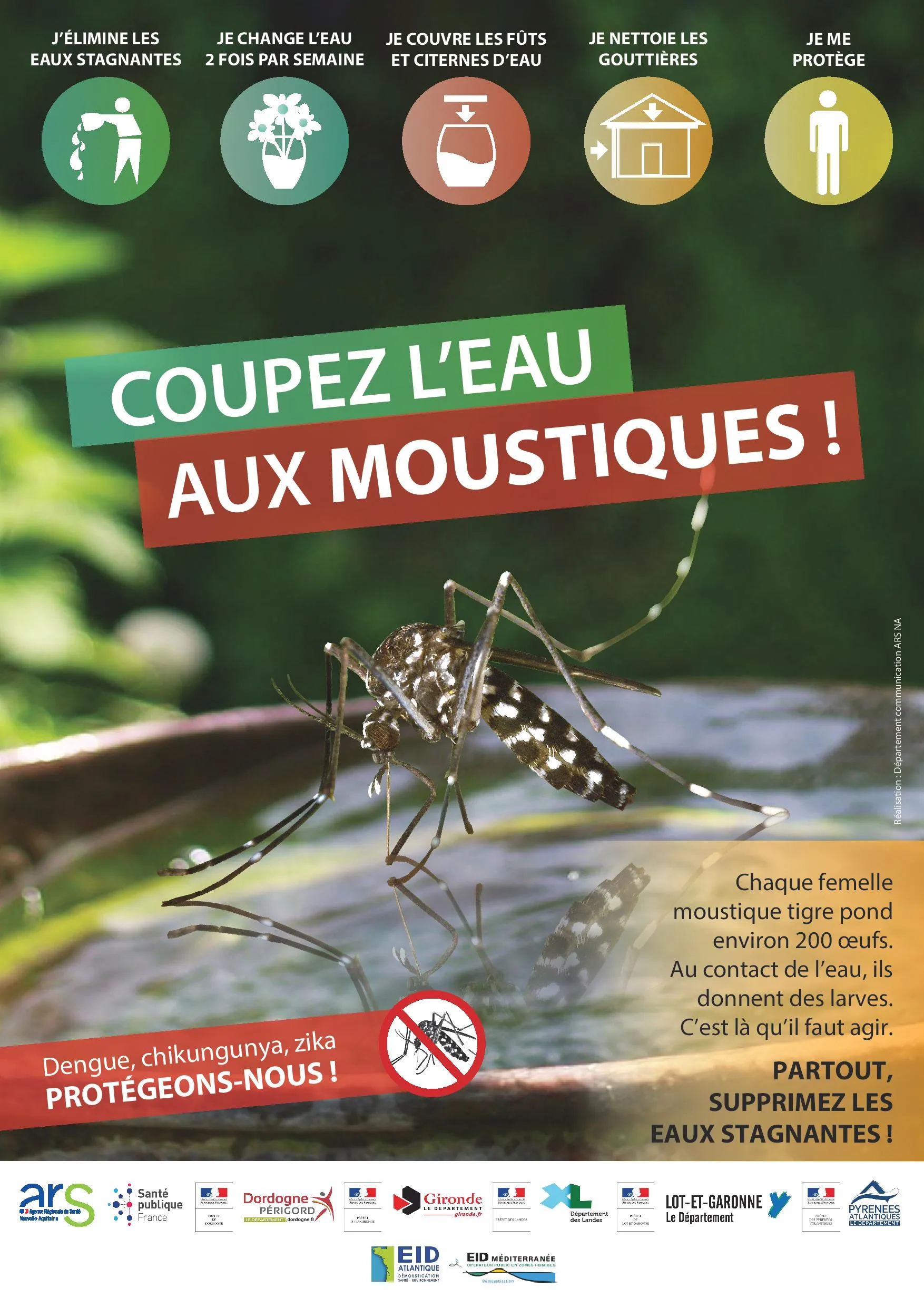 Coupez l’eau au moustique tigre