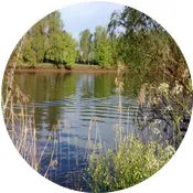 visitez St Sulpice de Faleyrens